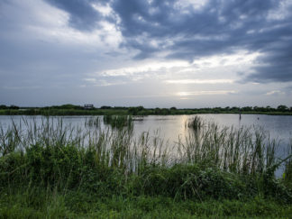 sunset Viera wetlands
