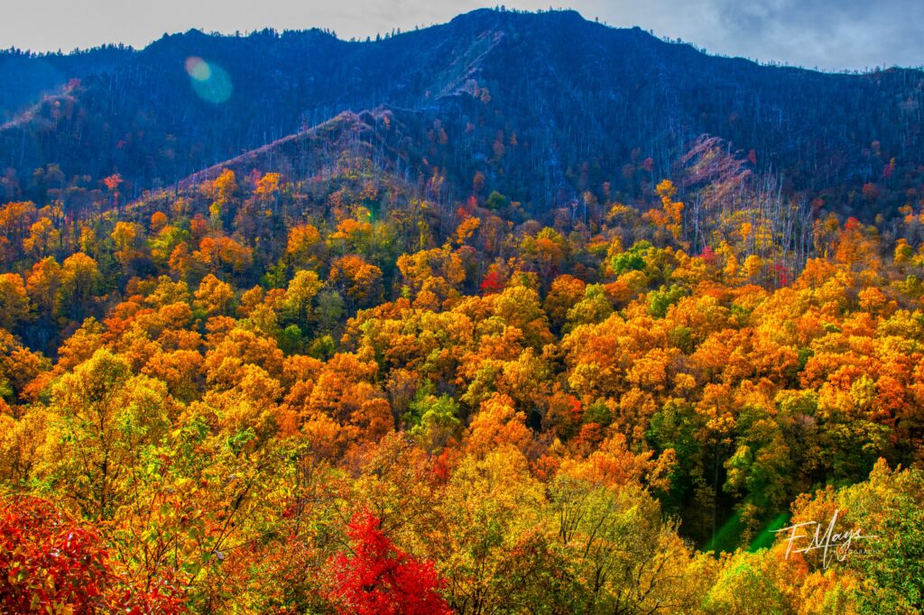 Colors on Great Smoky Mountains