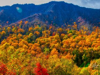 Colors on Great Smoky Mountains