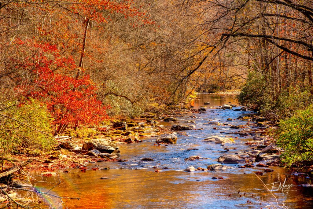 Mountain stream and fall colors